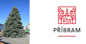 Vánoční strom na náměstí T. G. Masaryka